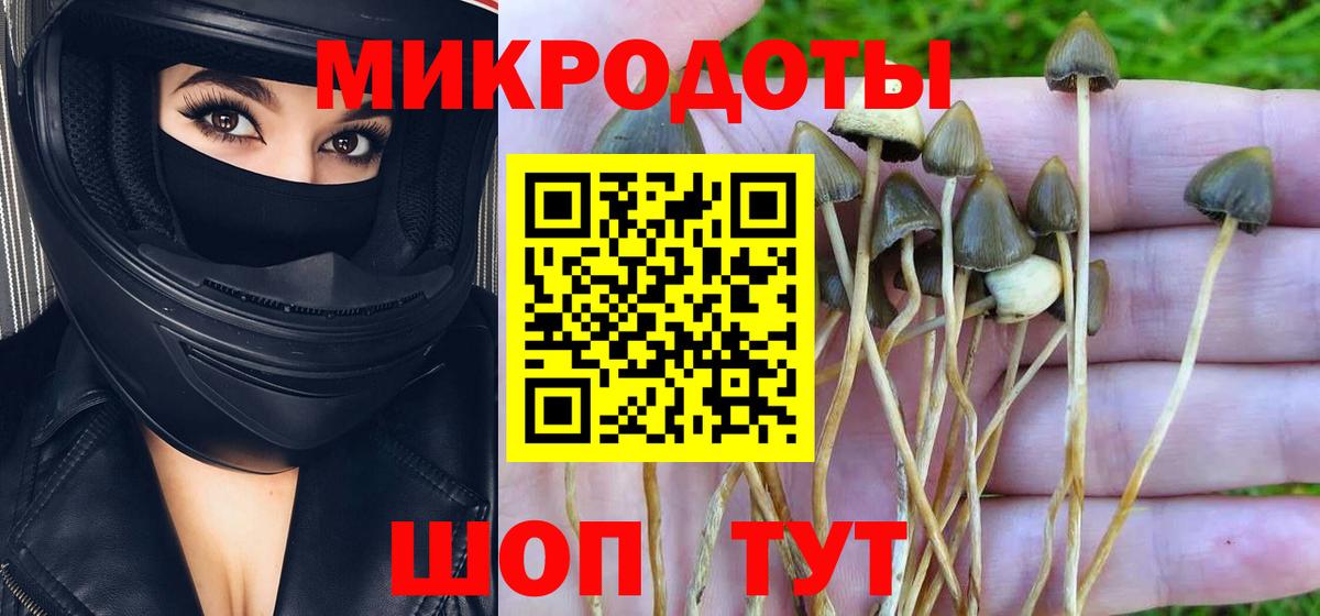 Псилоцибиновые грибы прущие грибы Южноуральск